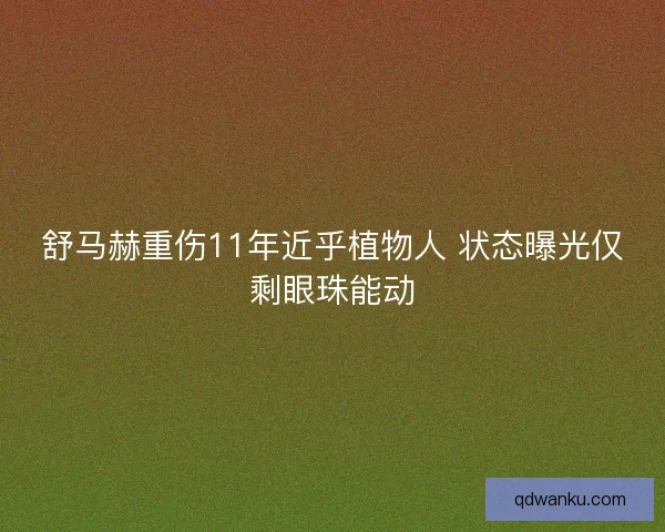 舒马赫重伤11年近乎植物人 状态曝光仅剩眼珠能动