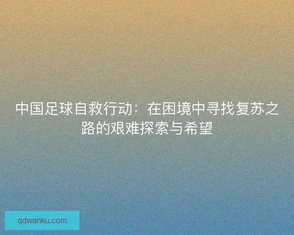 中国足球自救行动：在困境中寻找复苏之路的艰难探索与希望